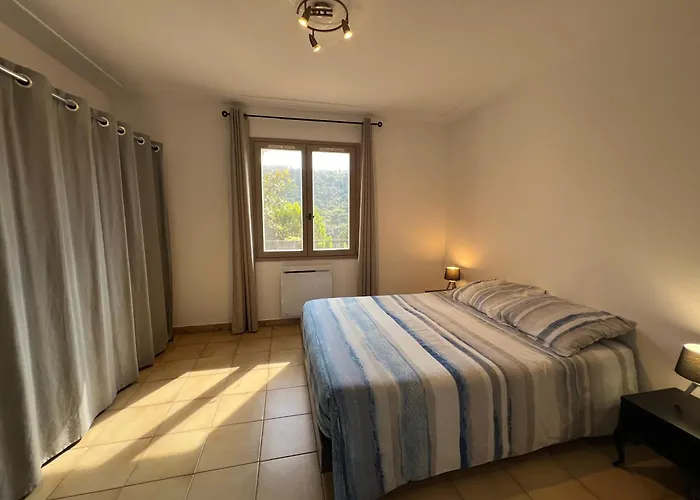 Nissa La Bella, Piscine Et Vue * Nizza