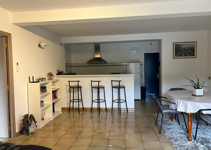 Nissa La Bella, Piscine Et Vue Ницца